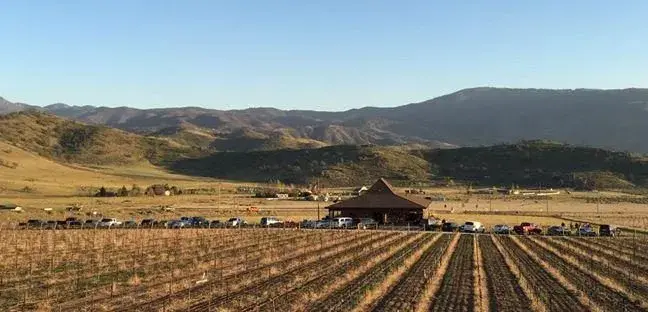 Triassic Legacy Vineyards